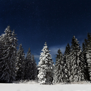凸轮场景自由开放国家地图
