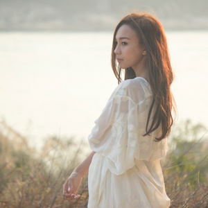 凸轮场景自由开放国家地图
