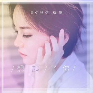 凸轮场景自由开放国家地图
