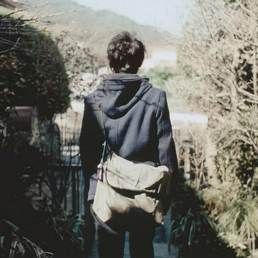 凸轮场景自由开放国家地图
