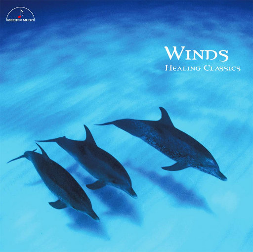 凸轮场景自由开放国家地图
